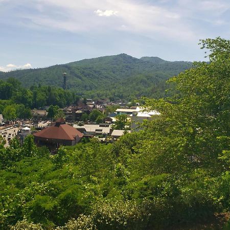 Gatlinburg Chateau Condo 210 Eksteriør billede